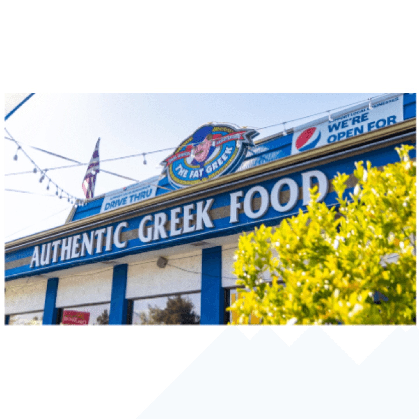 Welcome to The Fat Greek!