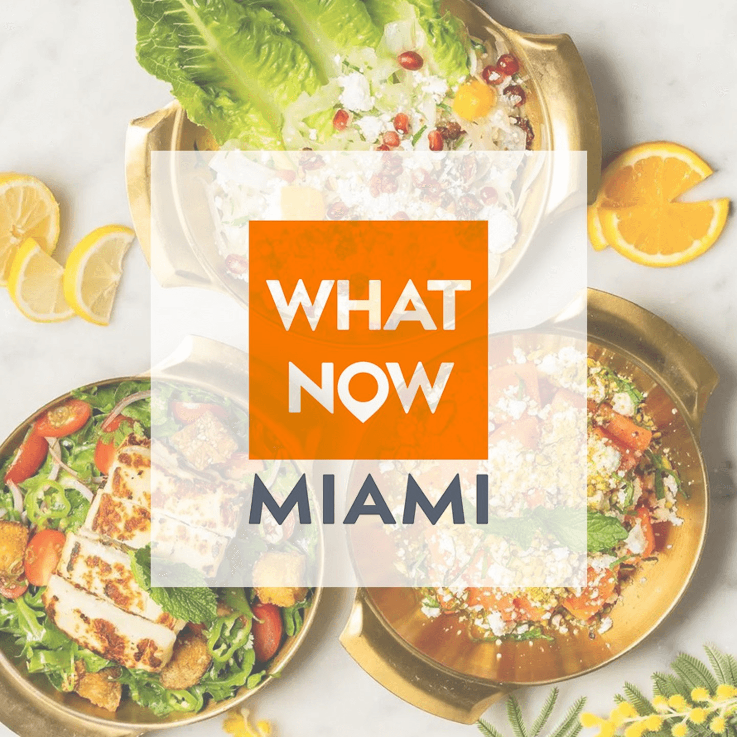 WhatNowMiami