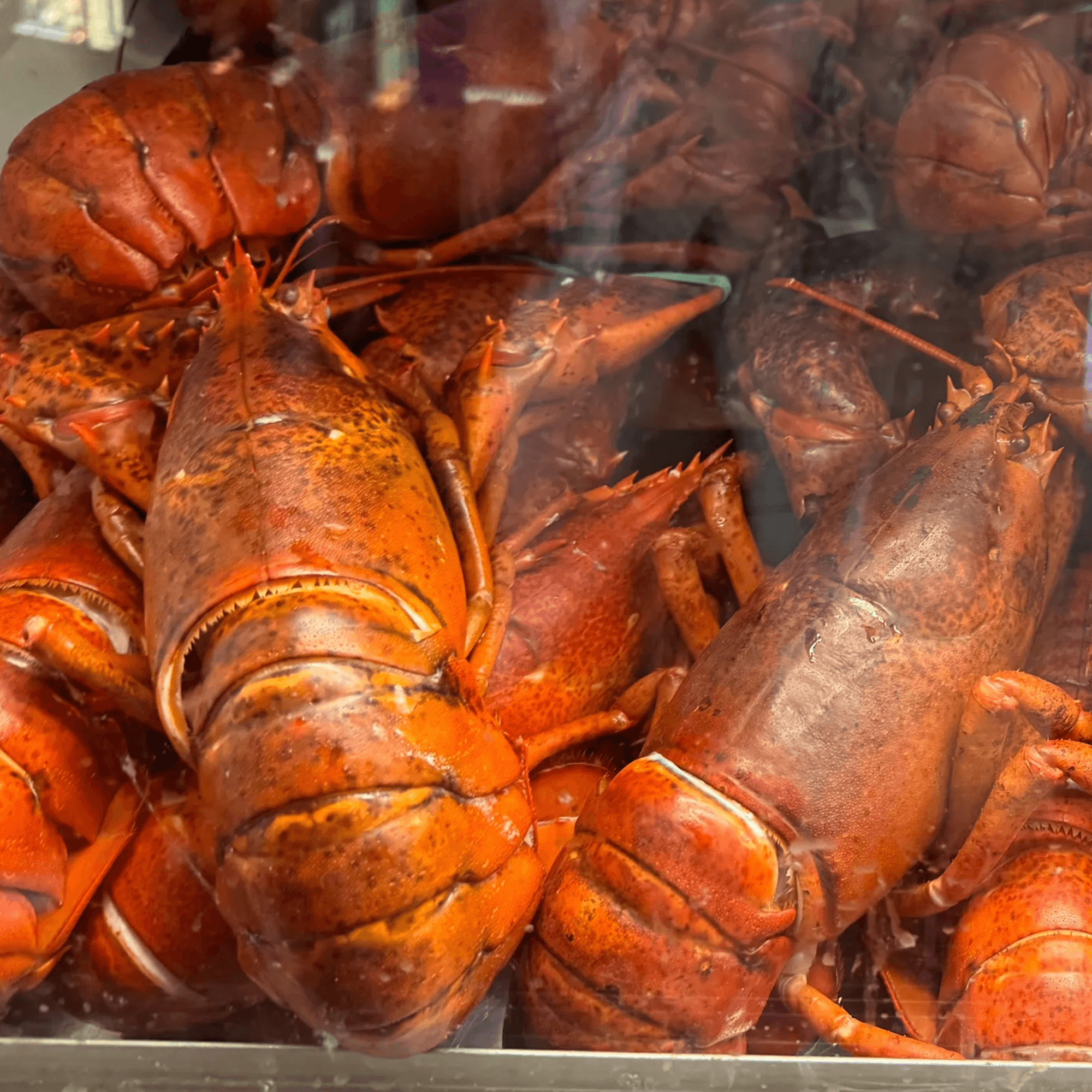 Lobster Haven gallery image #2