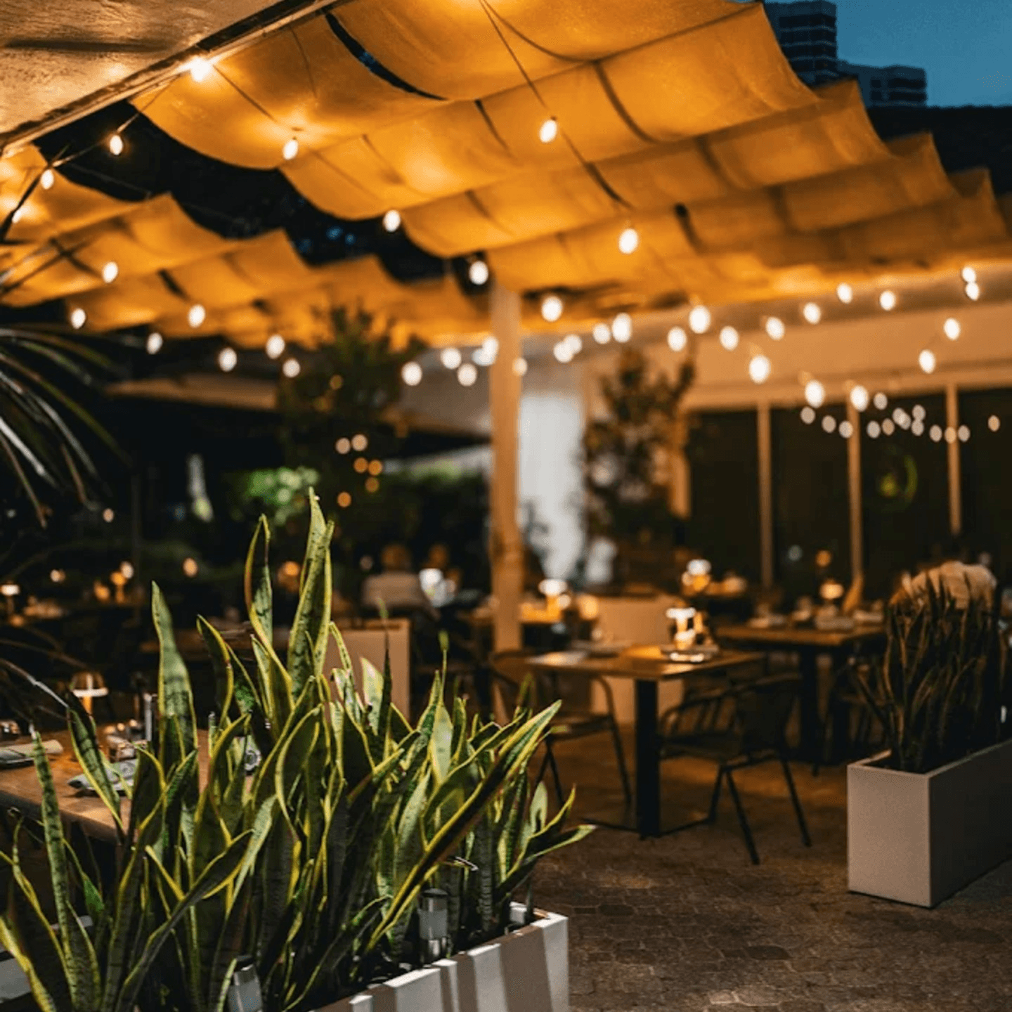 An Elevated Dine In Experience