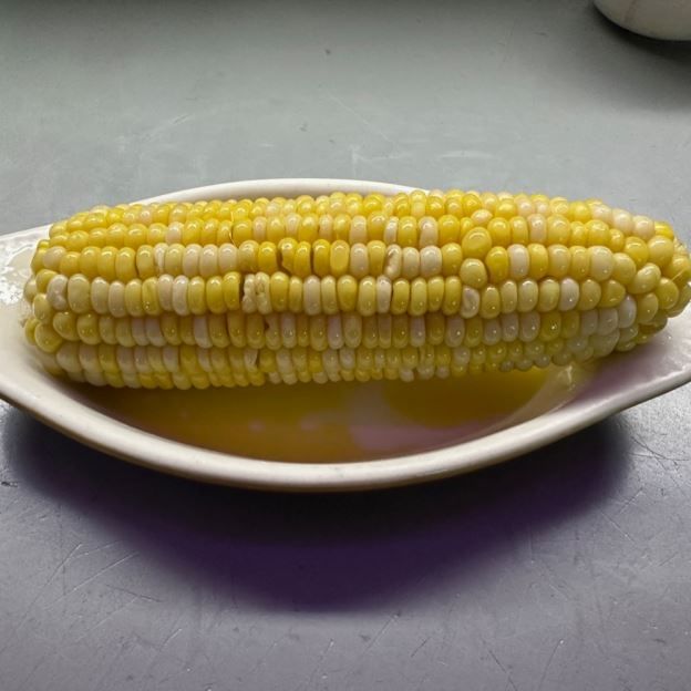 Corn on the Cob.