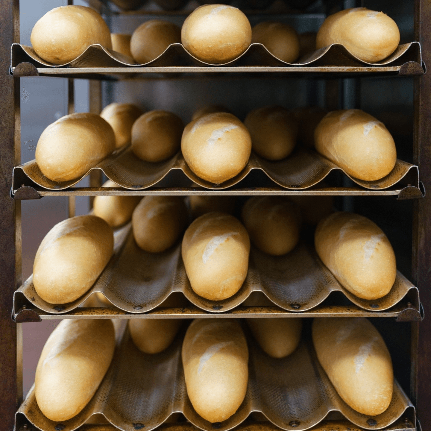 Baked Fresh Daily, Made With Care