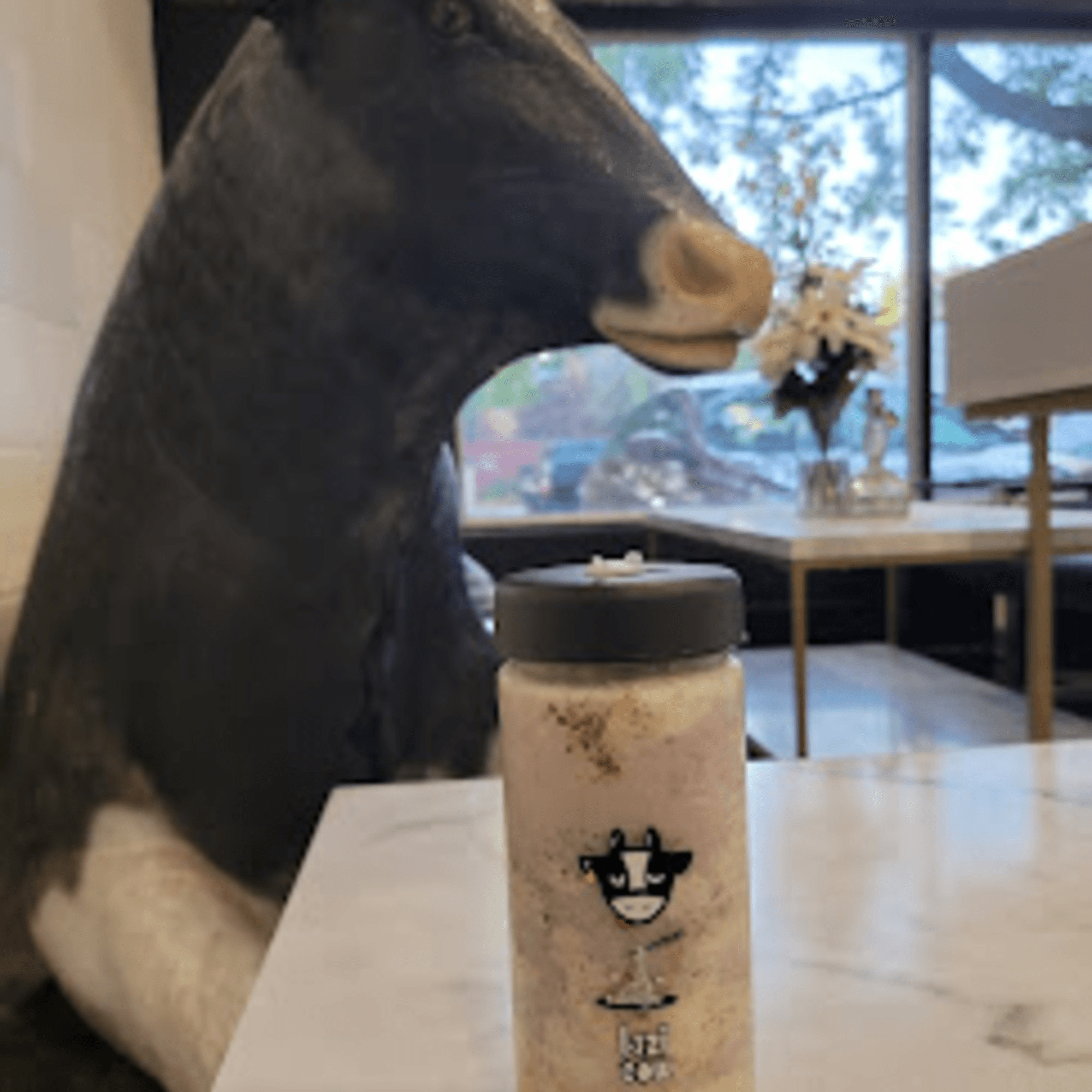 Lazi Cow gallery image #3