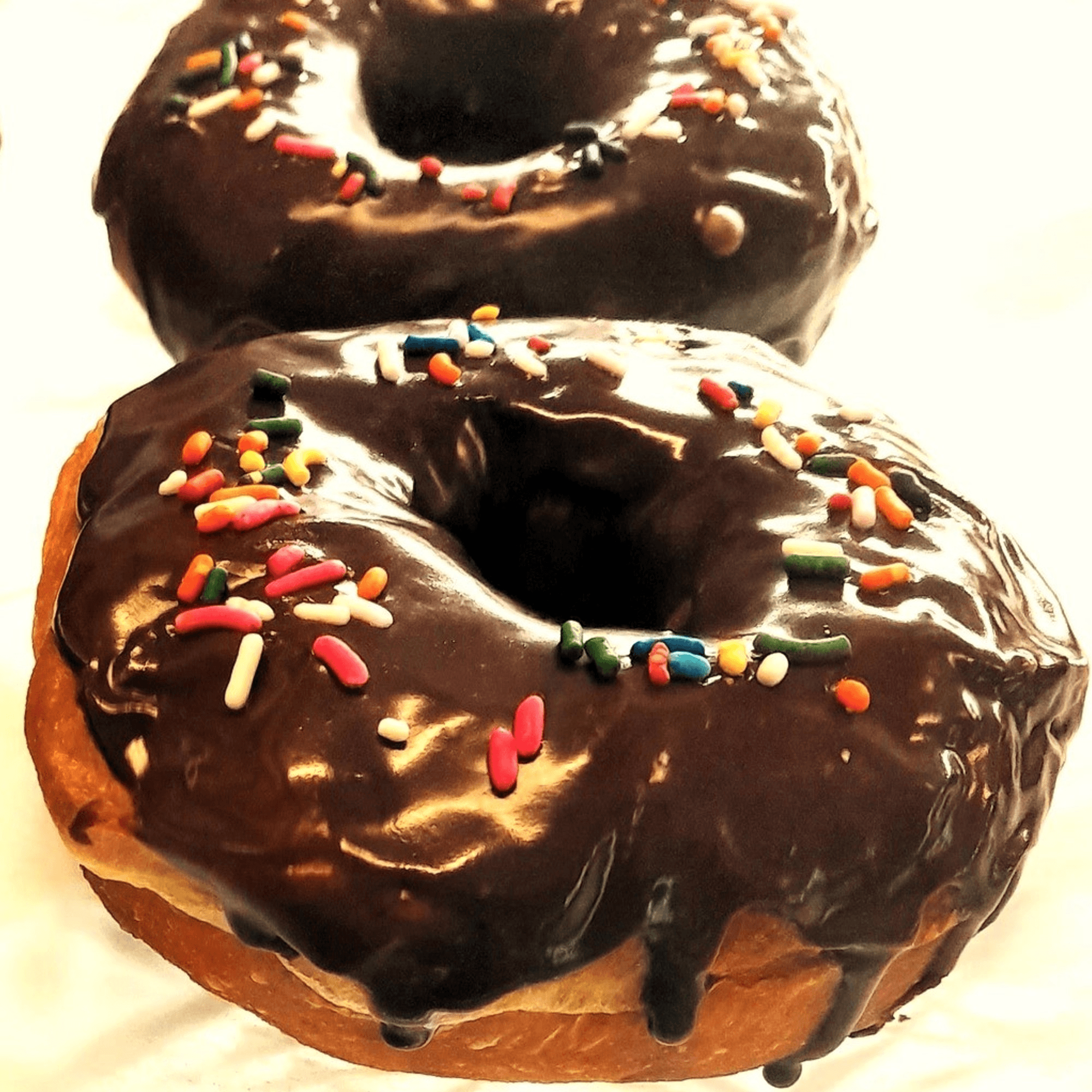 Delicious Pizza Gelato European Treats Best pizza in Port Charlotte, FL