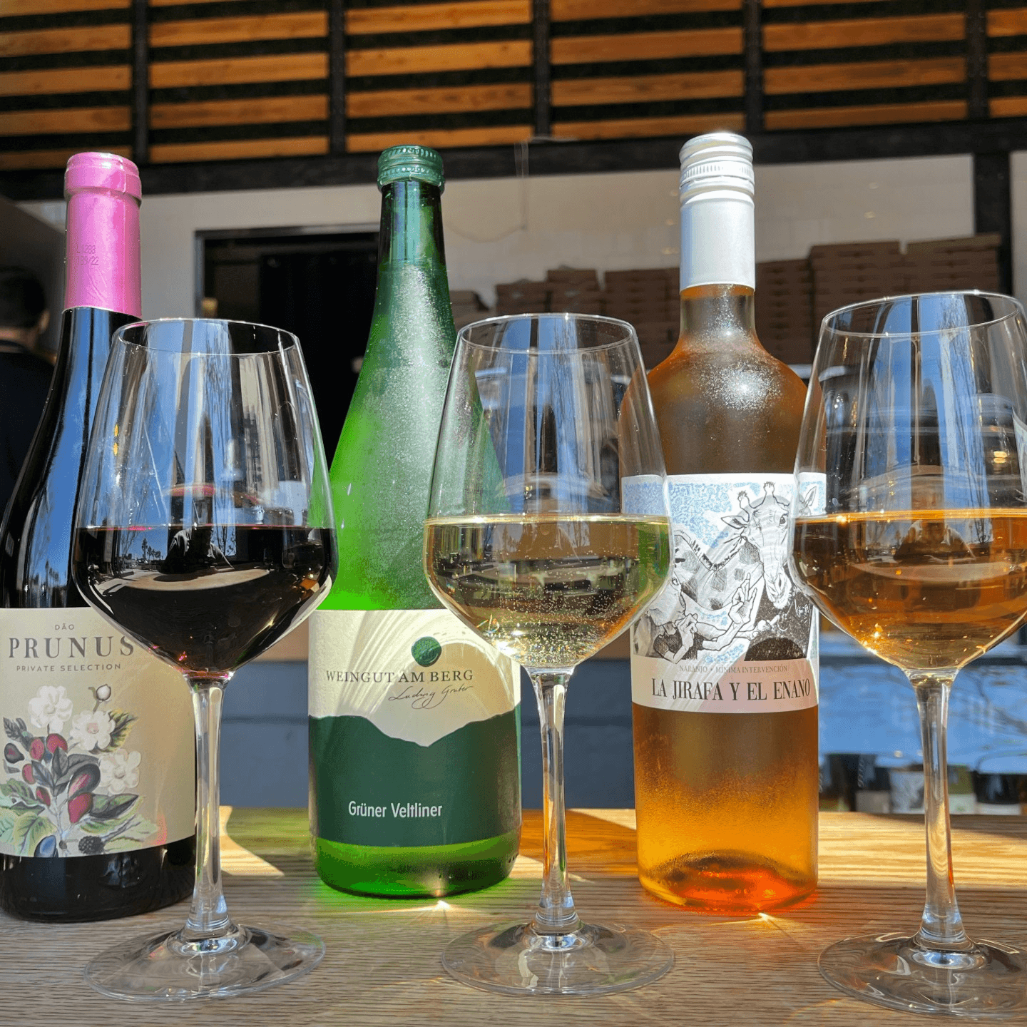 🍷 Wine Down Wednesdays at The Shop