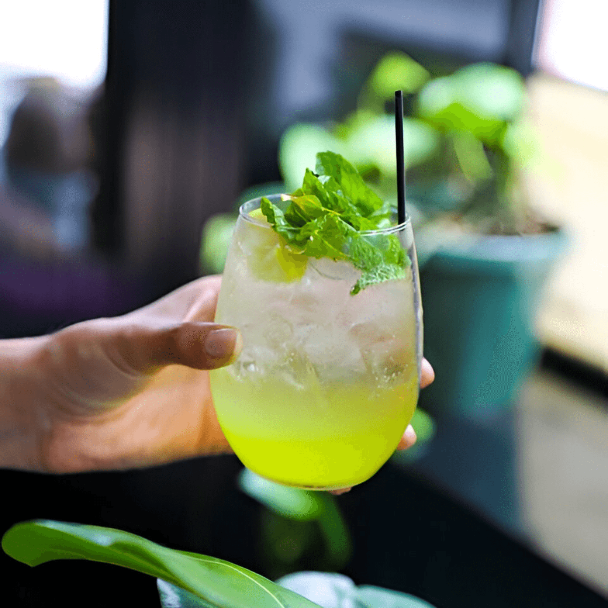 Dar525 gallery image #4