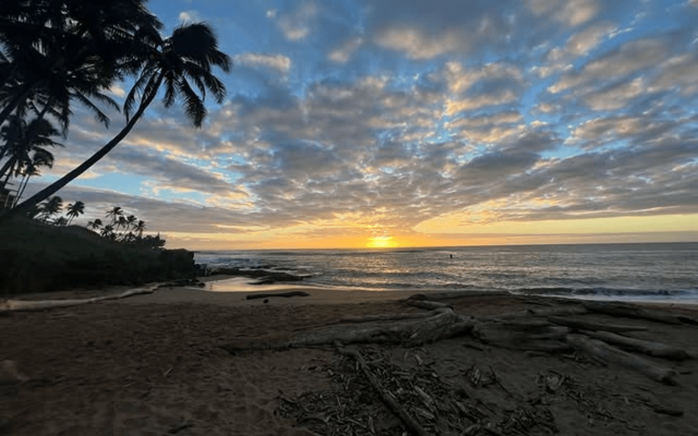 Built with Heart, Served with Aloha