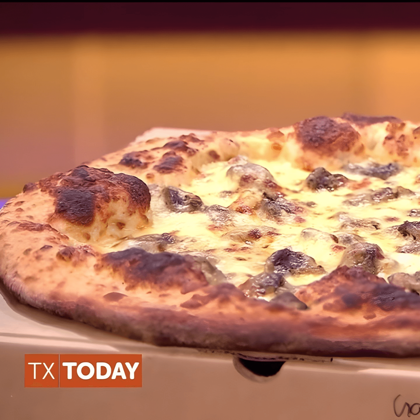 Revolutionary Pizza Restaurants You Need to Try 🍕