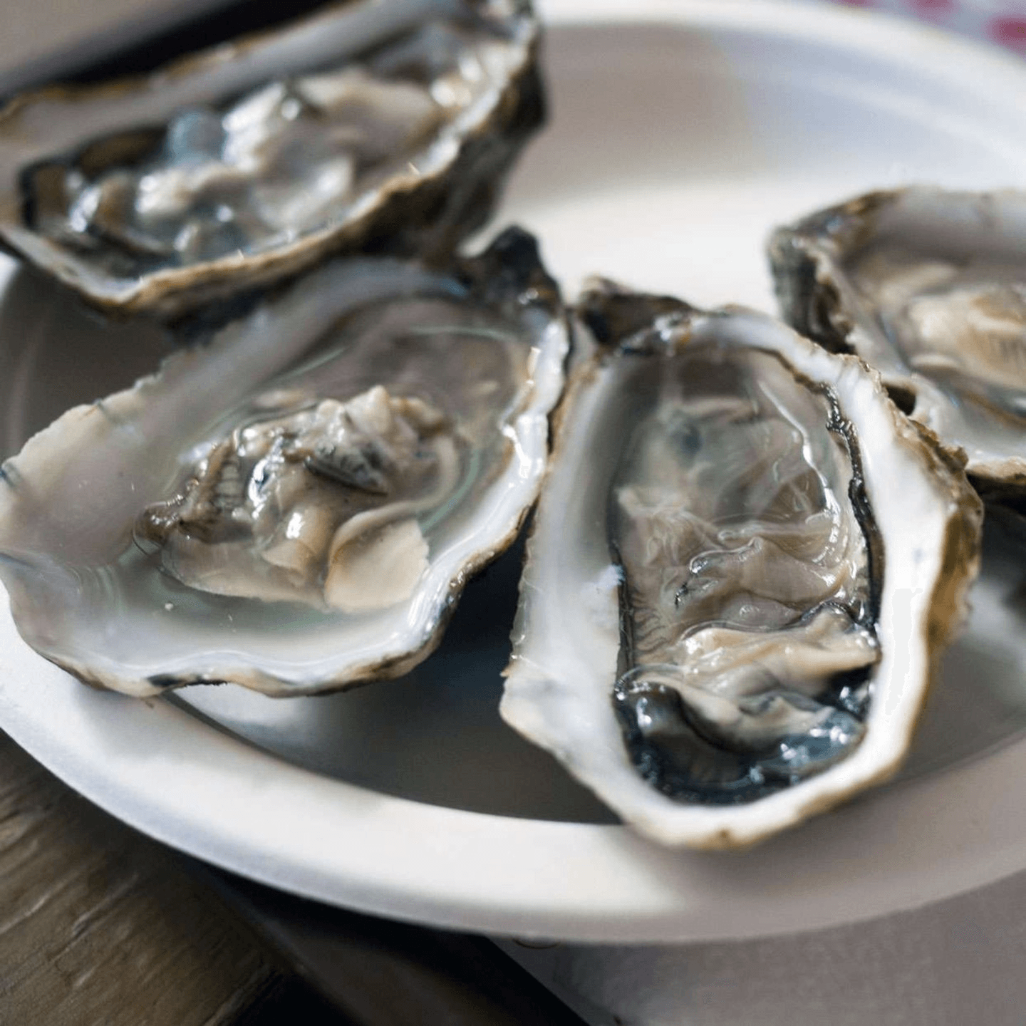 The Best Time to Safely Eat Oysters 