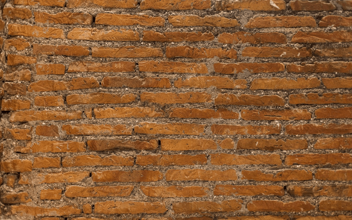 Taste the Tradition of Brooklyn Pizza