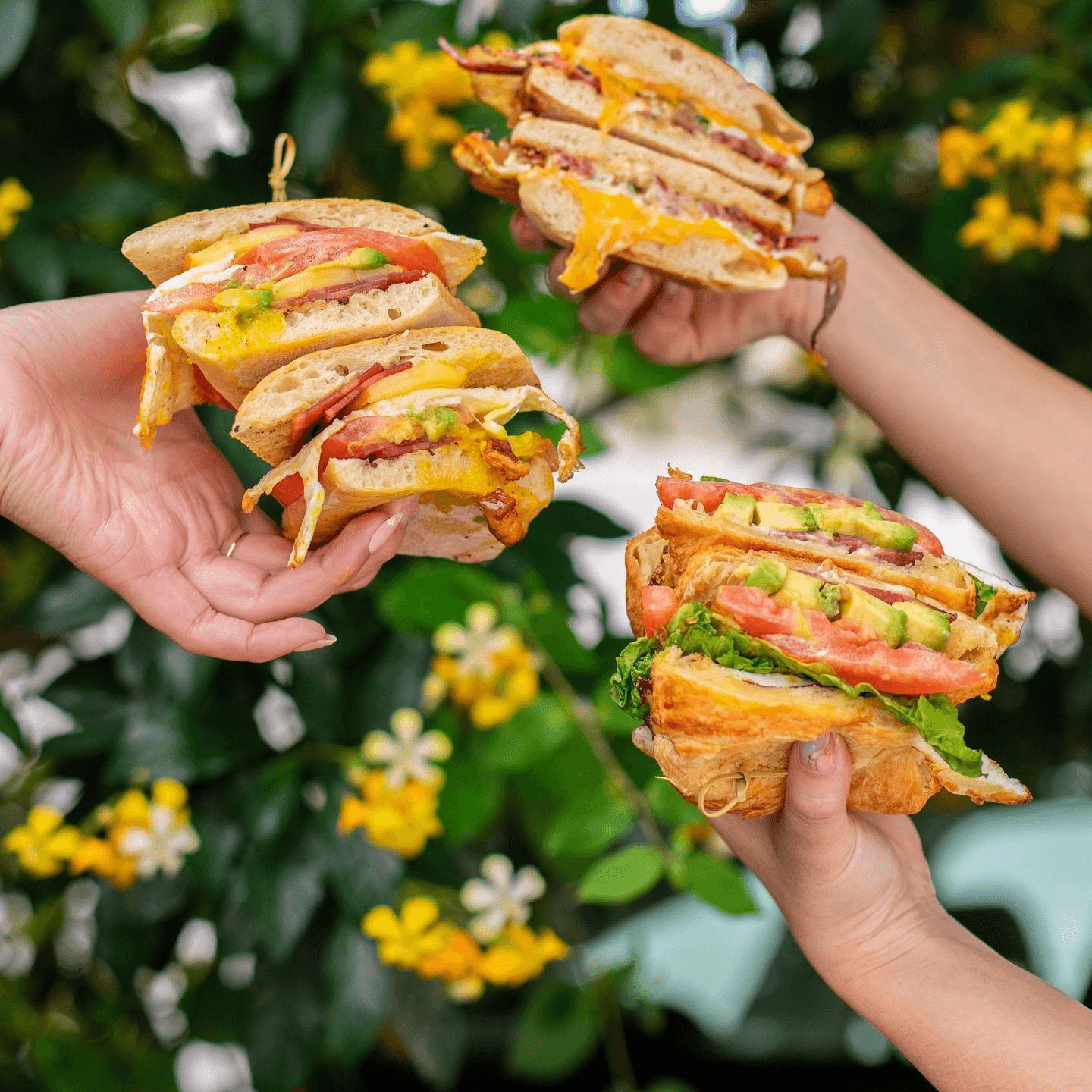Fresh, Crisp, Vibrant