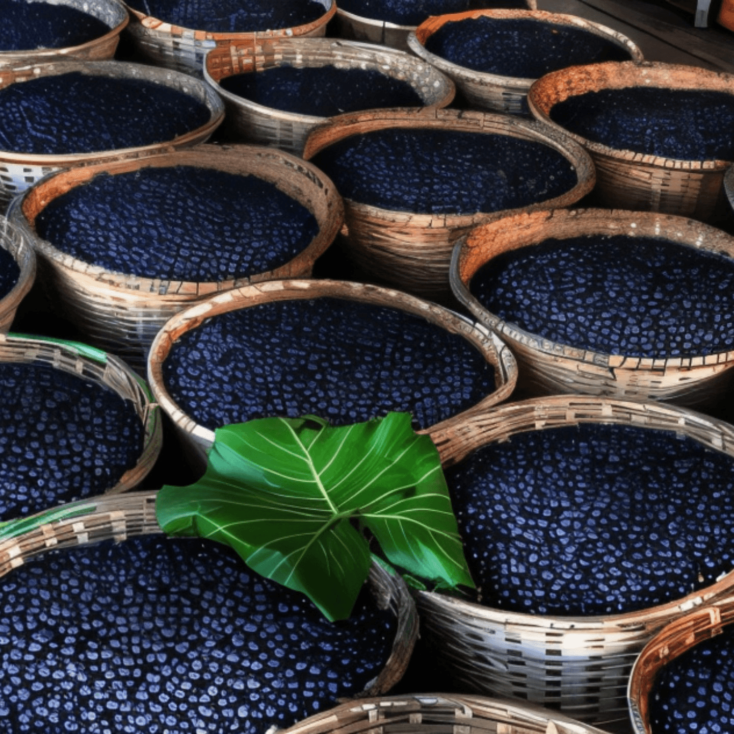 5 Things You  didn't know about açaí berries