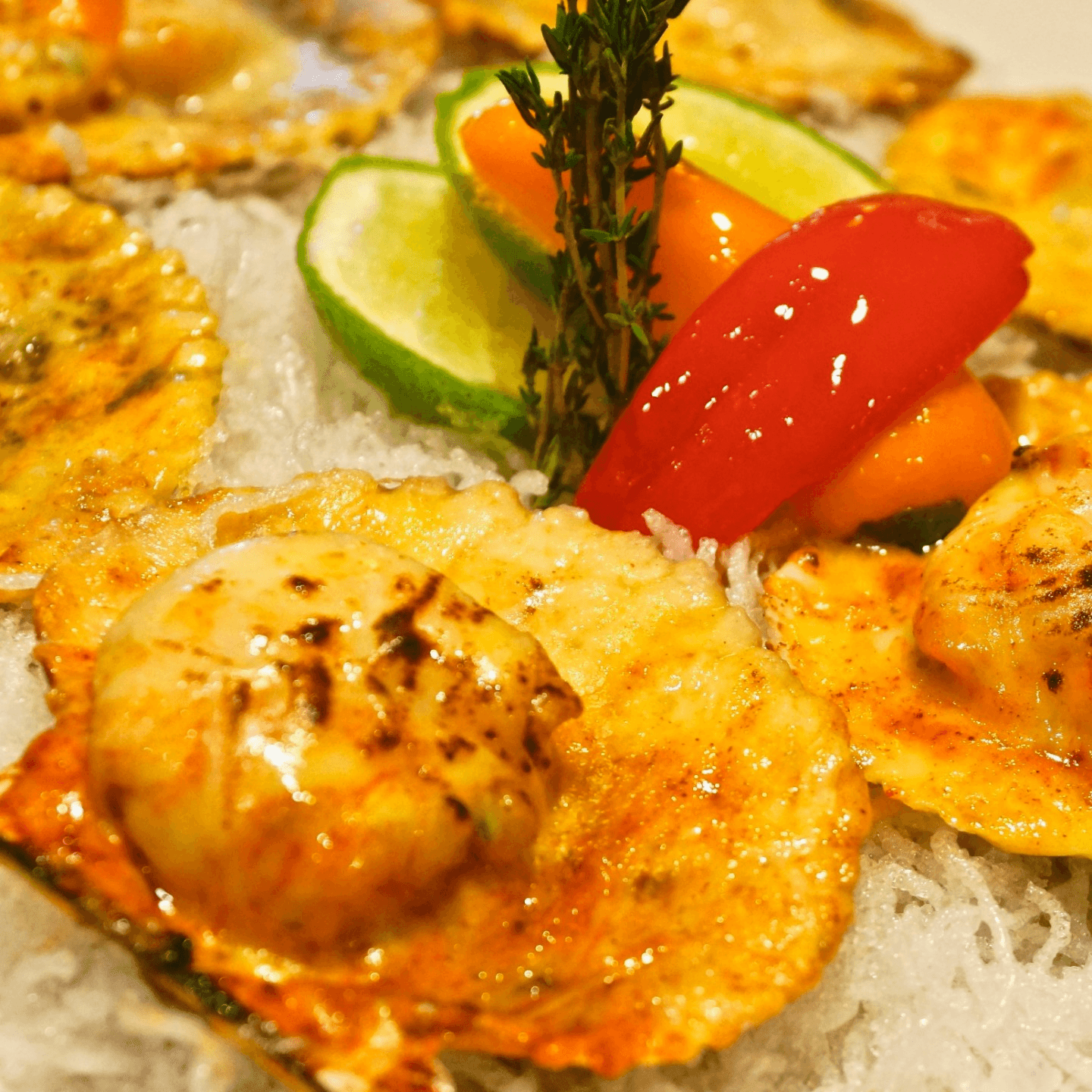 Conchitas Gratinadas