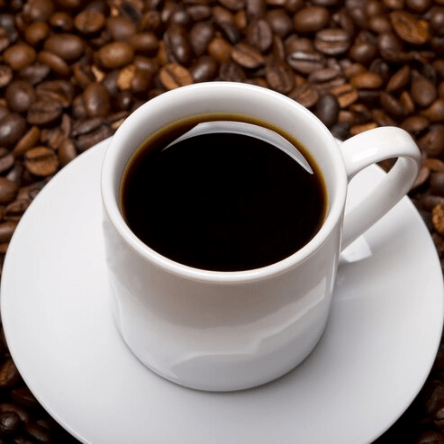 Daily Buzz Cafe Best Coffee in VA