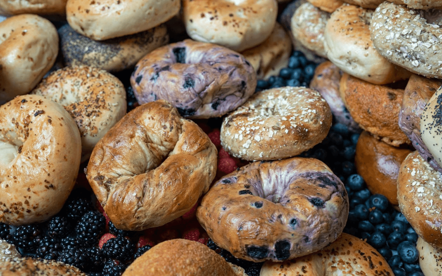 Rocket Bagels Deli & Catering Rewards