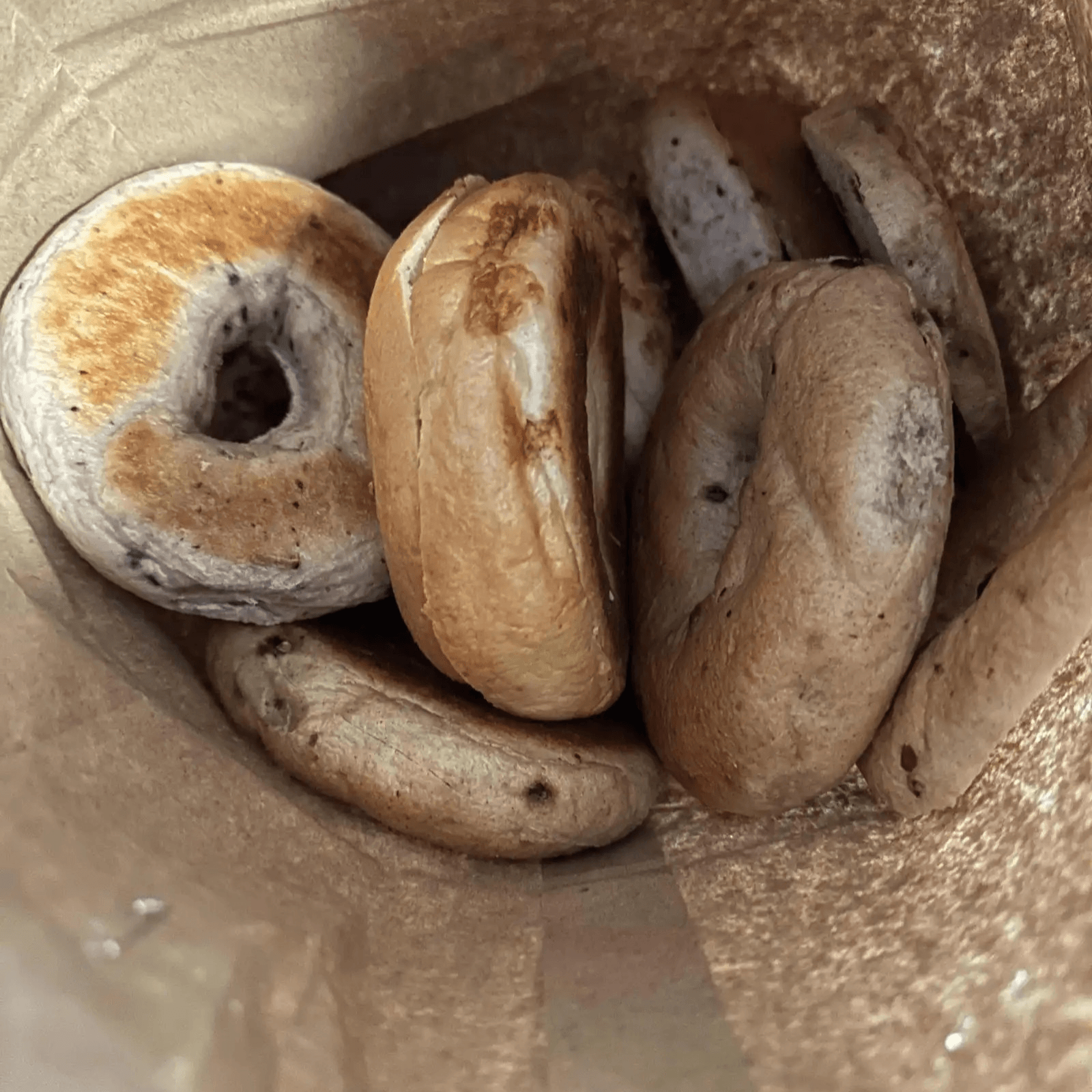 Regular Bagel Baker's Dozen