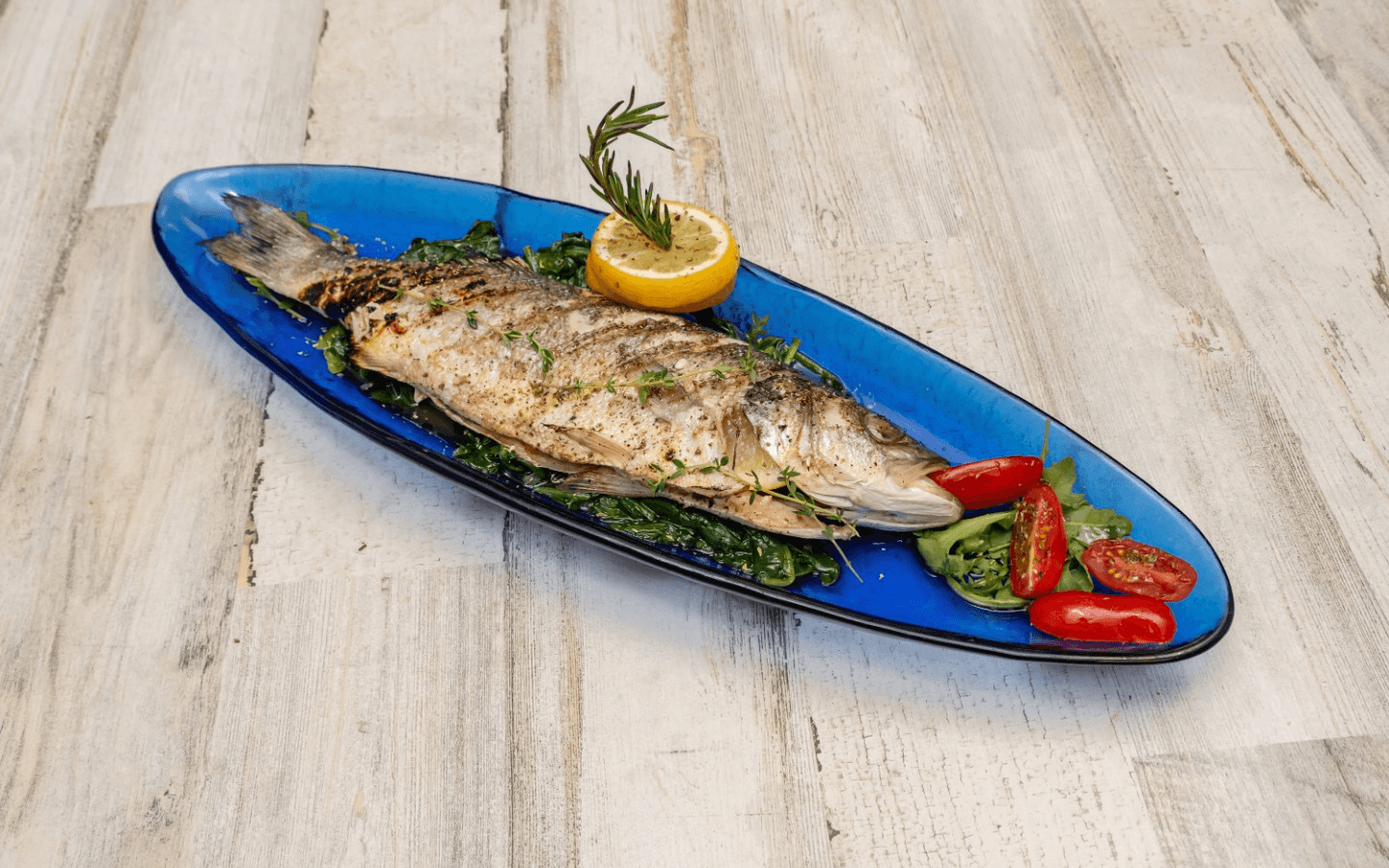 Authentic Greek & Seafood in Philly