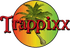 Trappixx Jamaican Restaurant