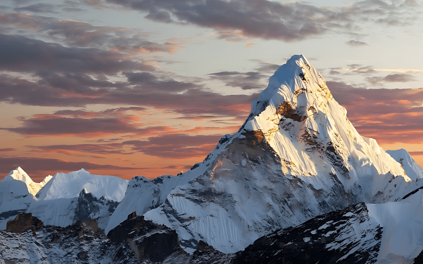 A Himalayan Journey Since 2010