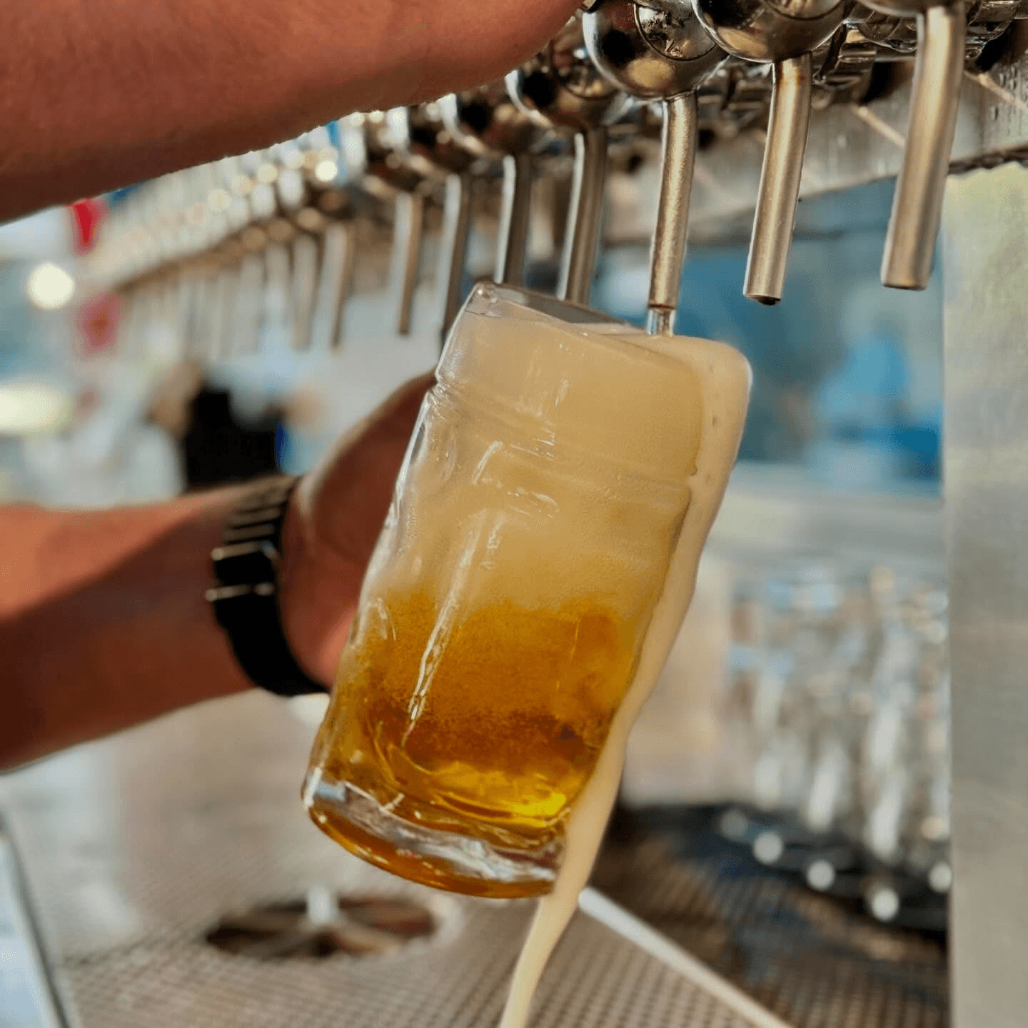 Chasing Craft Learning, Brewing, and Growing