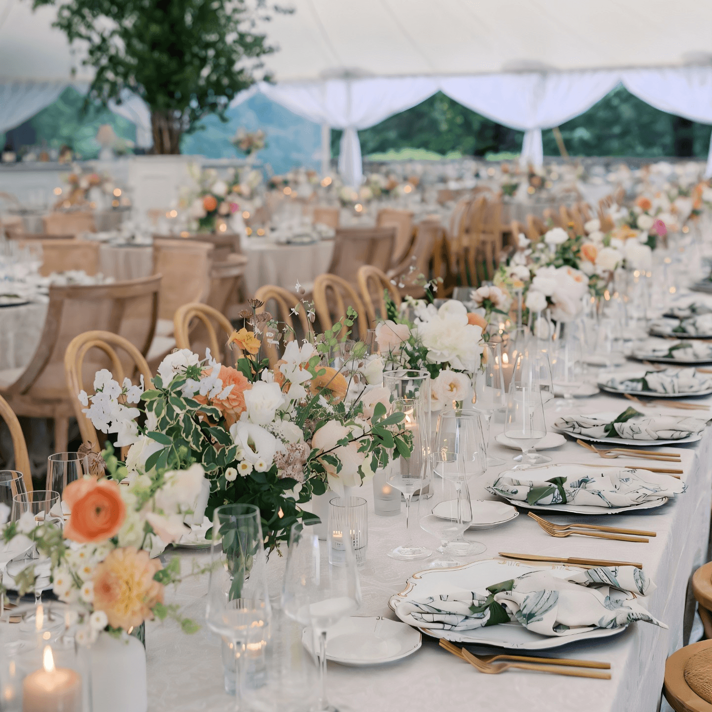 Catering & Events for Every Occasion