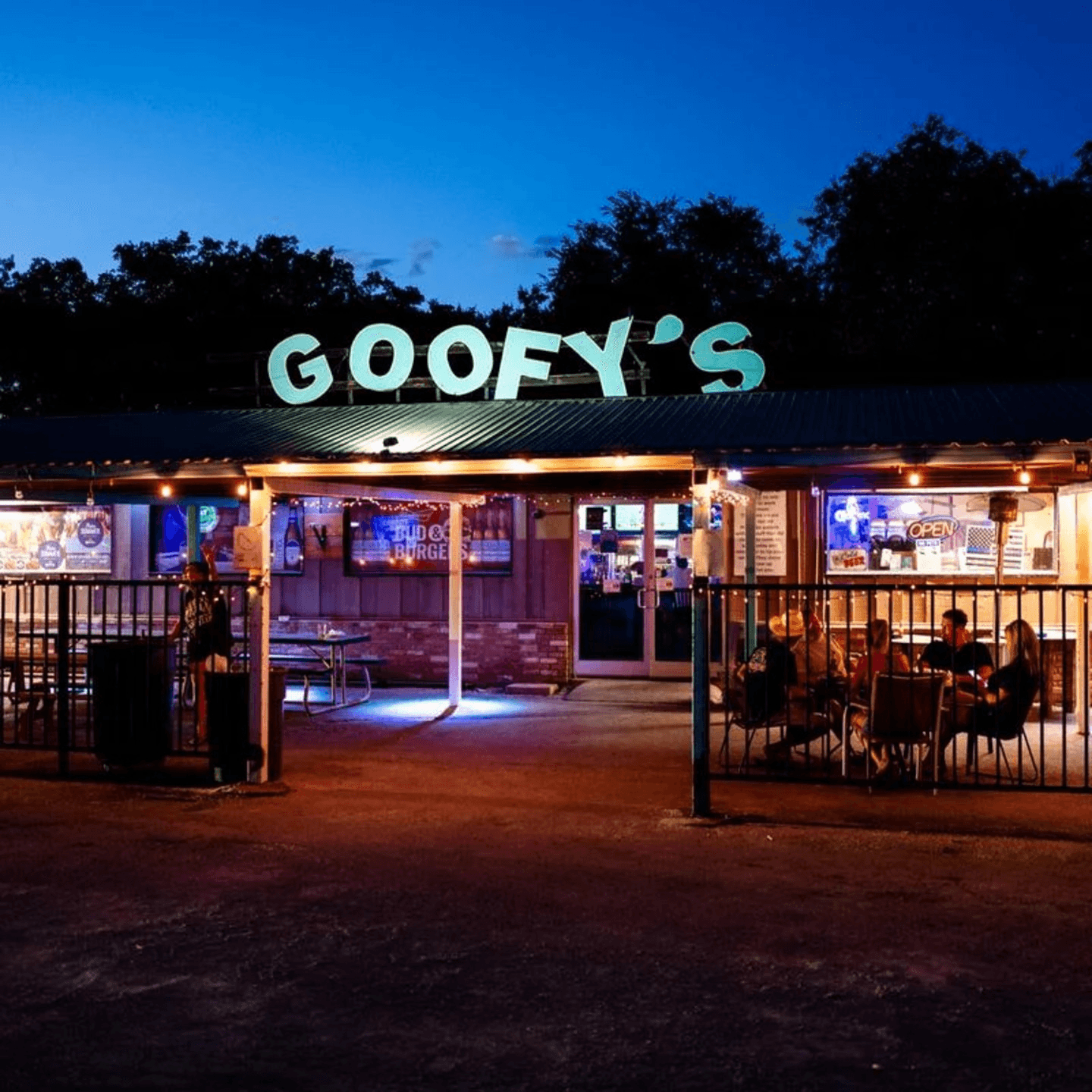 Welcome to Goofy's Bar and Grill