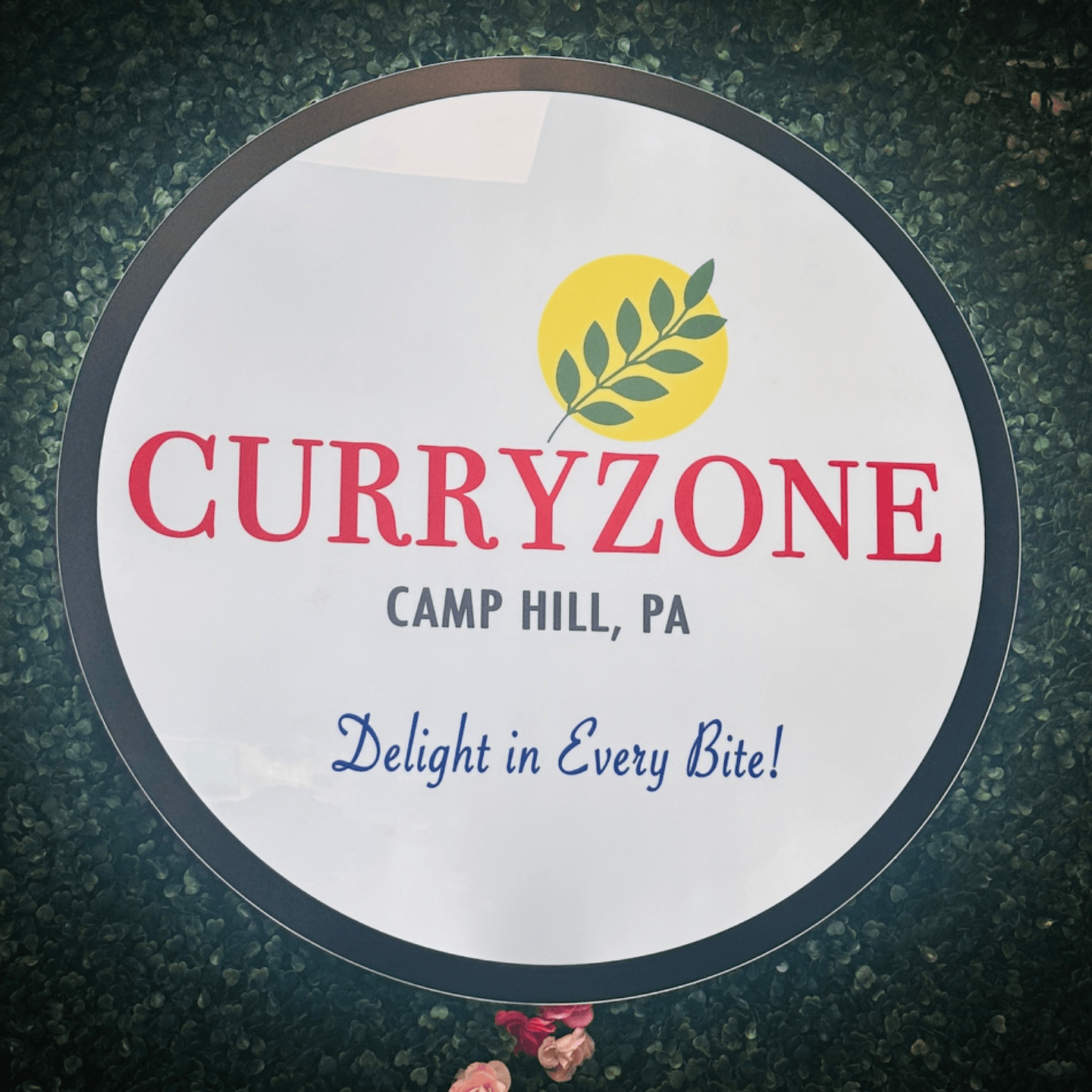 Welcome to CURRYZONE