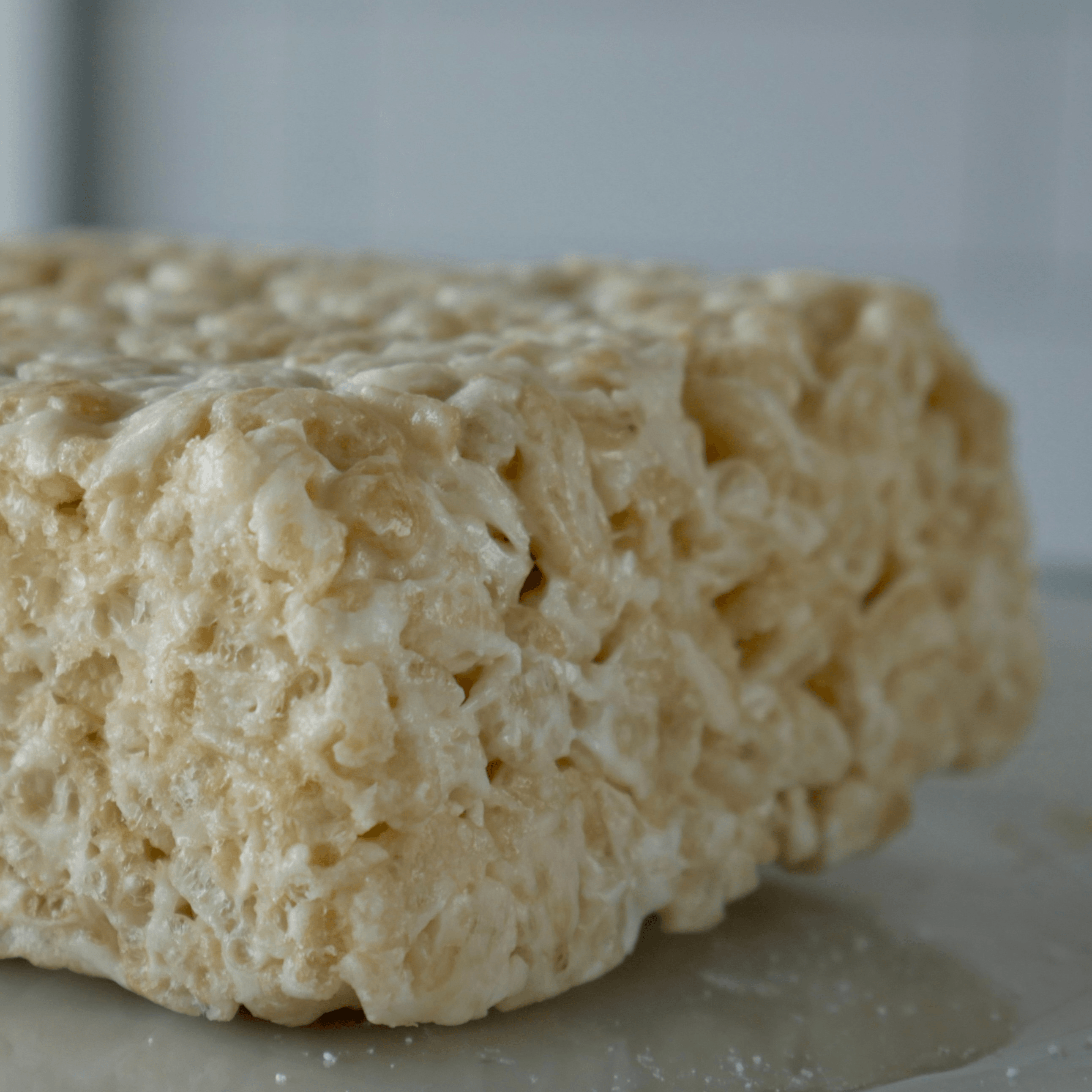 Rice Krispie [maple flavored].