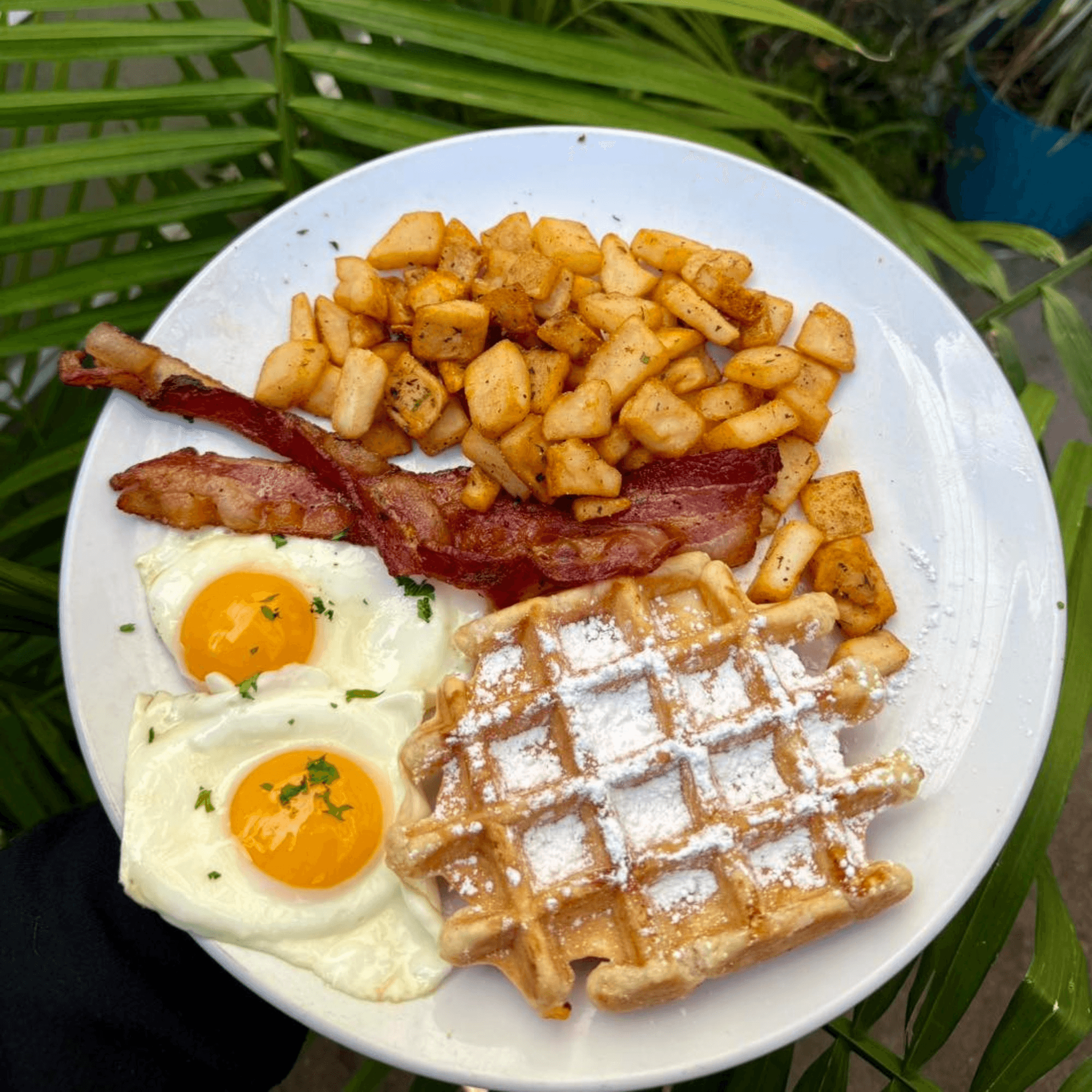 Water Street Waffle Co gallery image #2