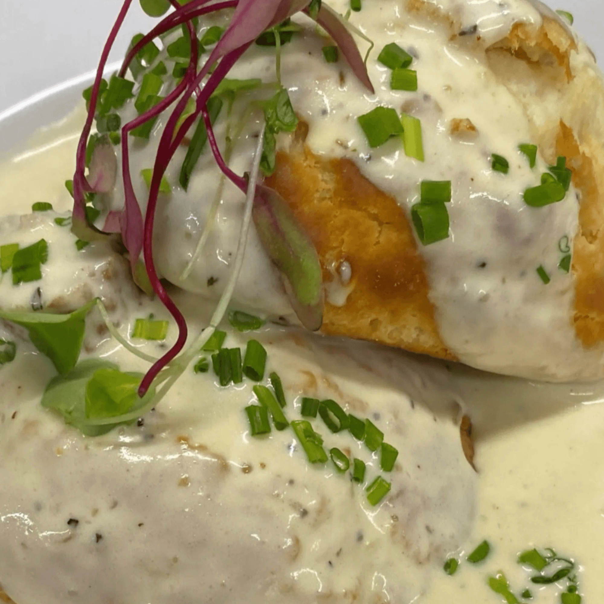 Toast It IZ gallery image #6