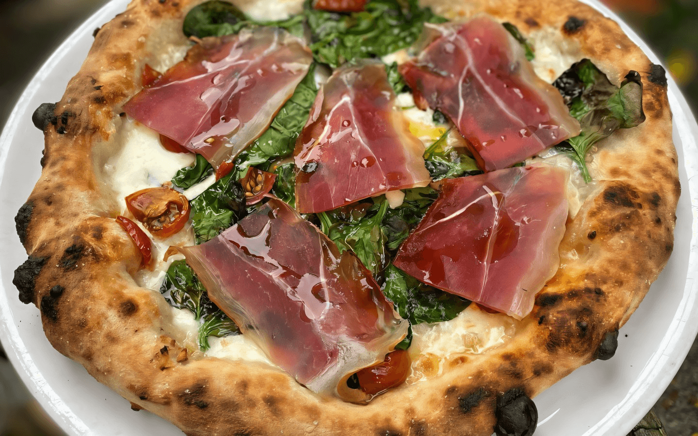 Aquila Pizza Al Forno Rewards