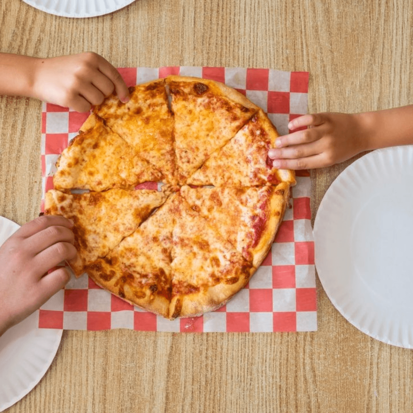 A Place for Everyone to Enjoy