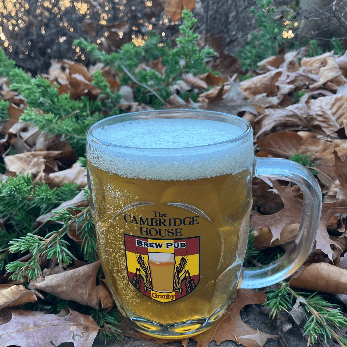 Join The Cambridge House Mug Club!