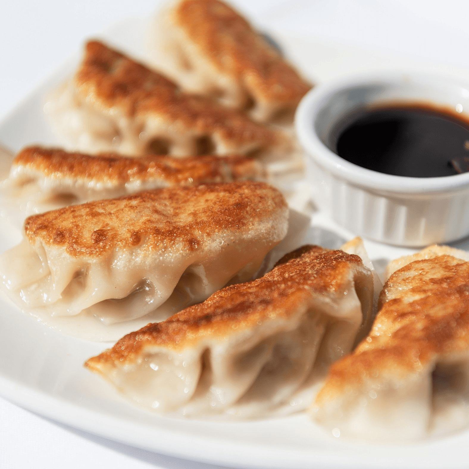 Grandpa’s Pot Stickers.