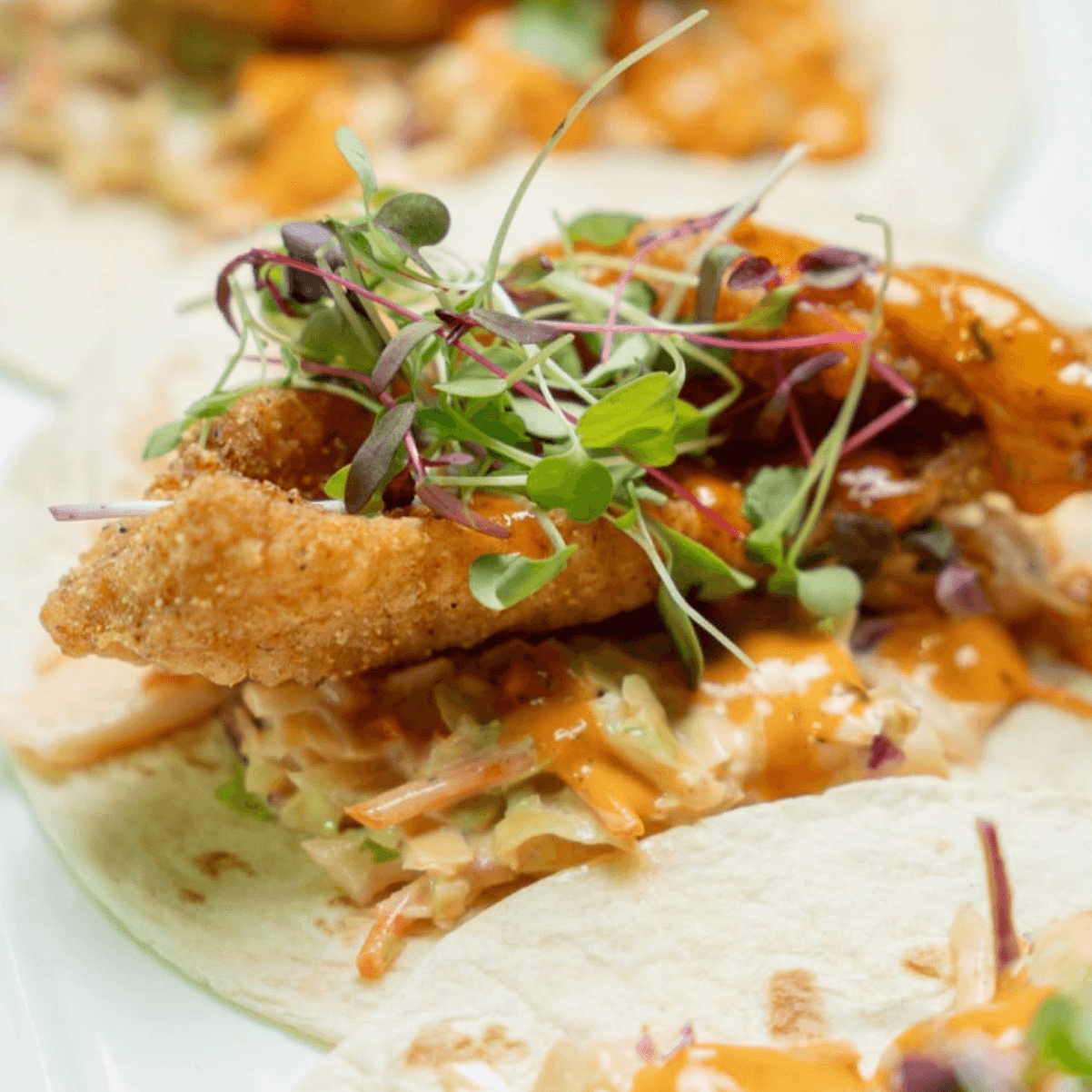 Fried Fish Tacos.