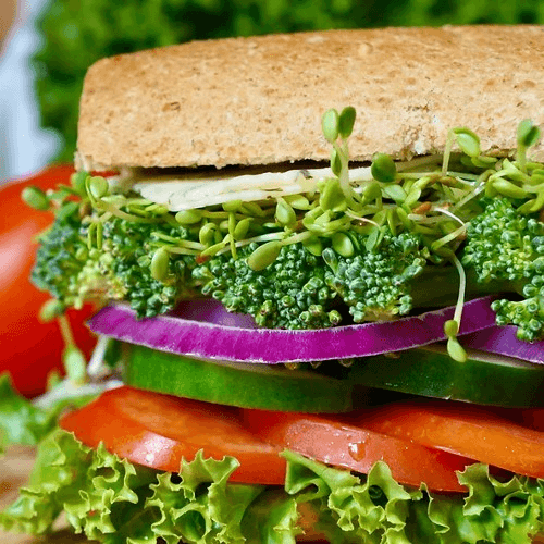 Peter B Vegetarian Sandwich a Local Favorite (Full)