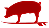 The Surfing Pig
