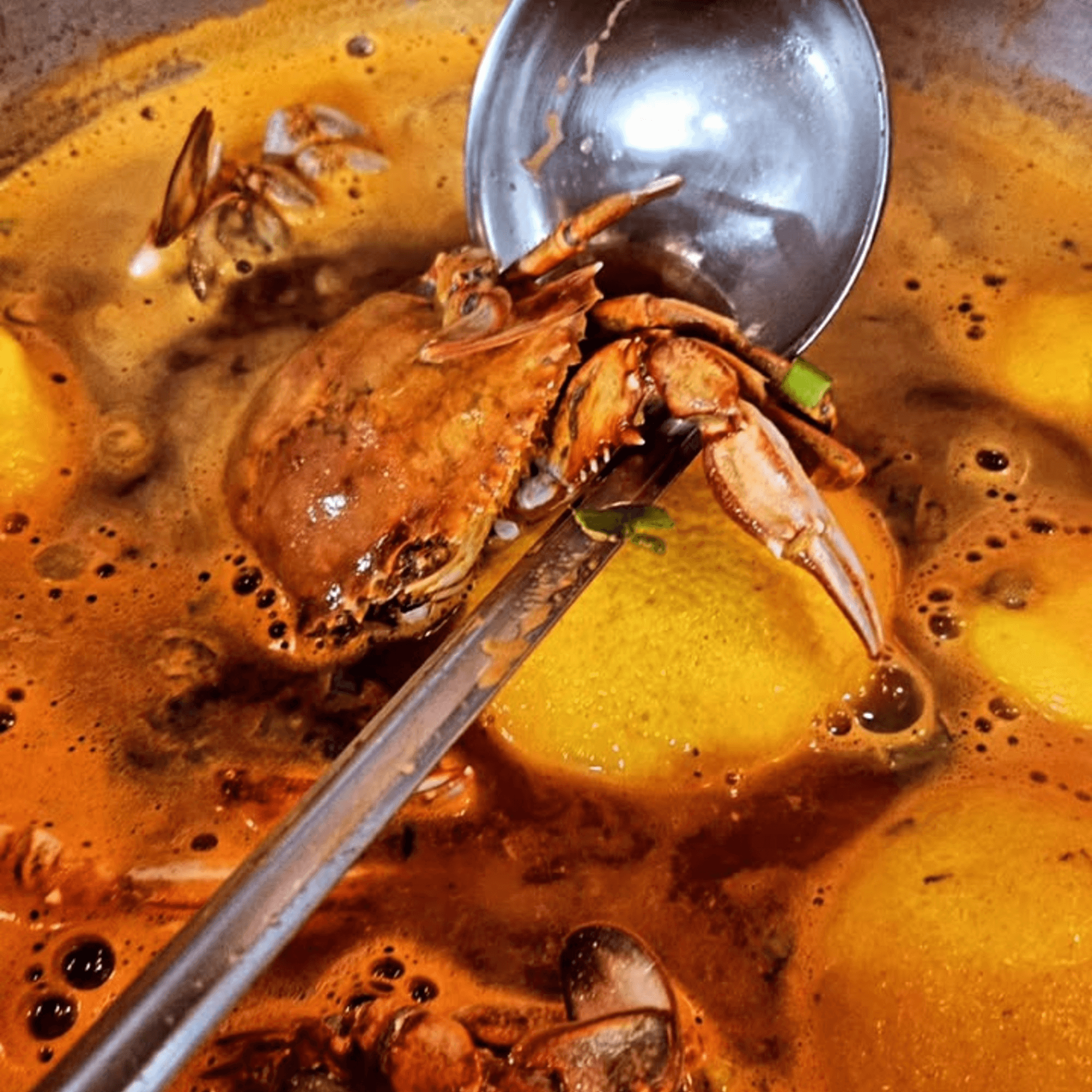 The Little Jewel of New Orleans gallery image #3