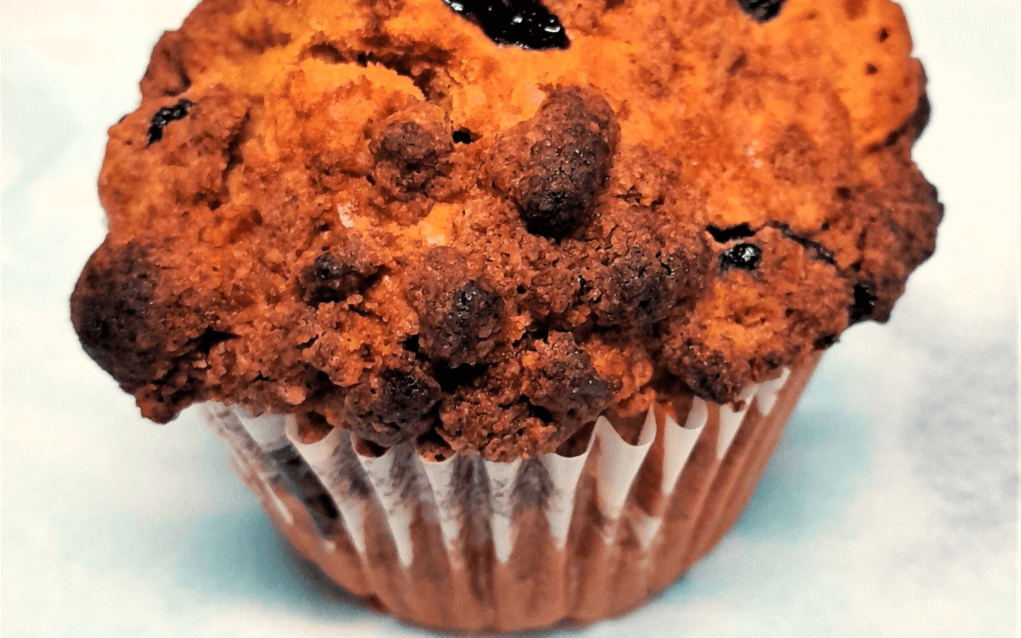 Delicious Pizza Gelato European Treats Best pizza in Port Charlotte, FL