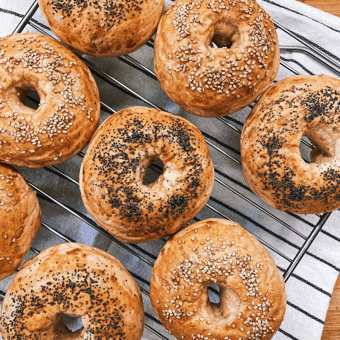 The Lost Art of the Real New York Bagel