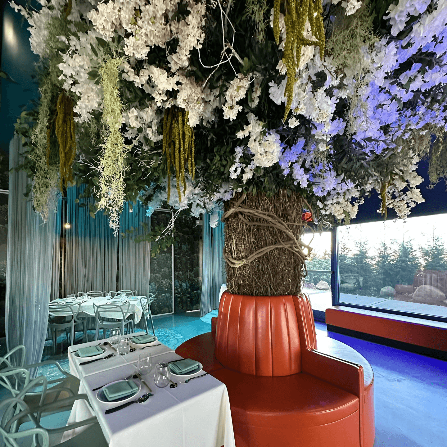 Reserve Your Table Today