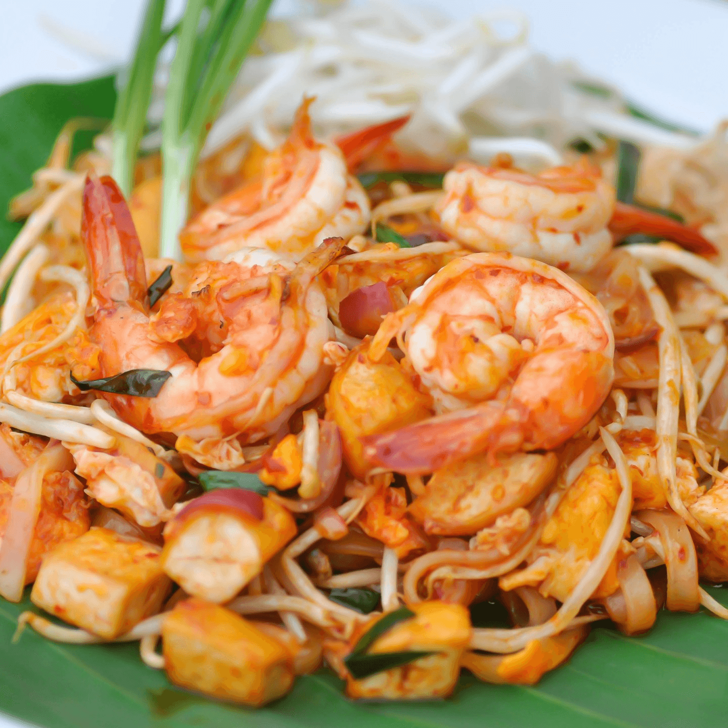 Crafted for the Curious