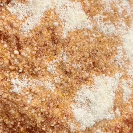 Homemade Spaghetti Dinner.