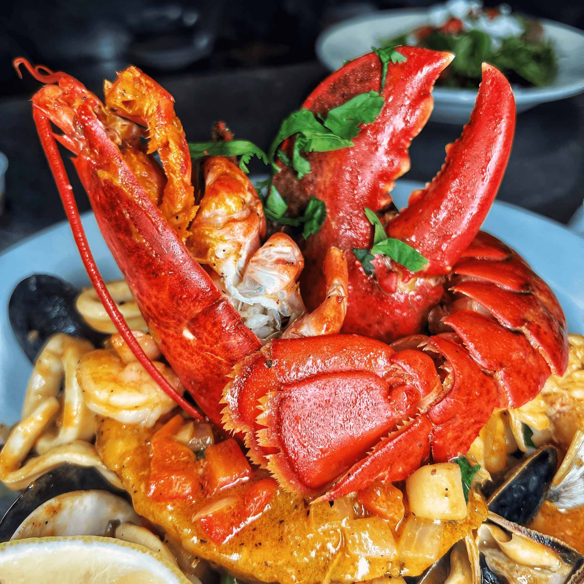 Sangria Cafe gallery image #7