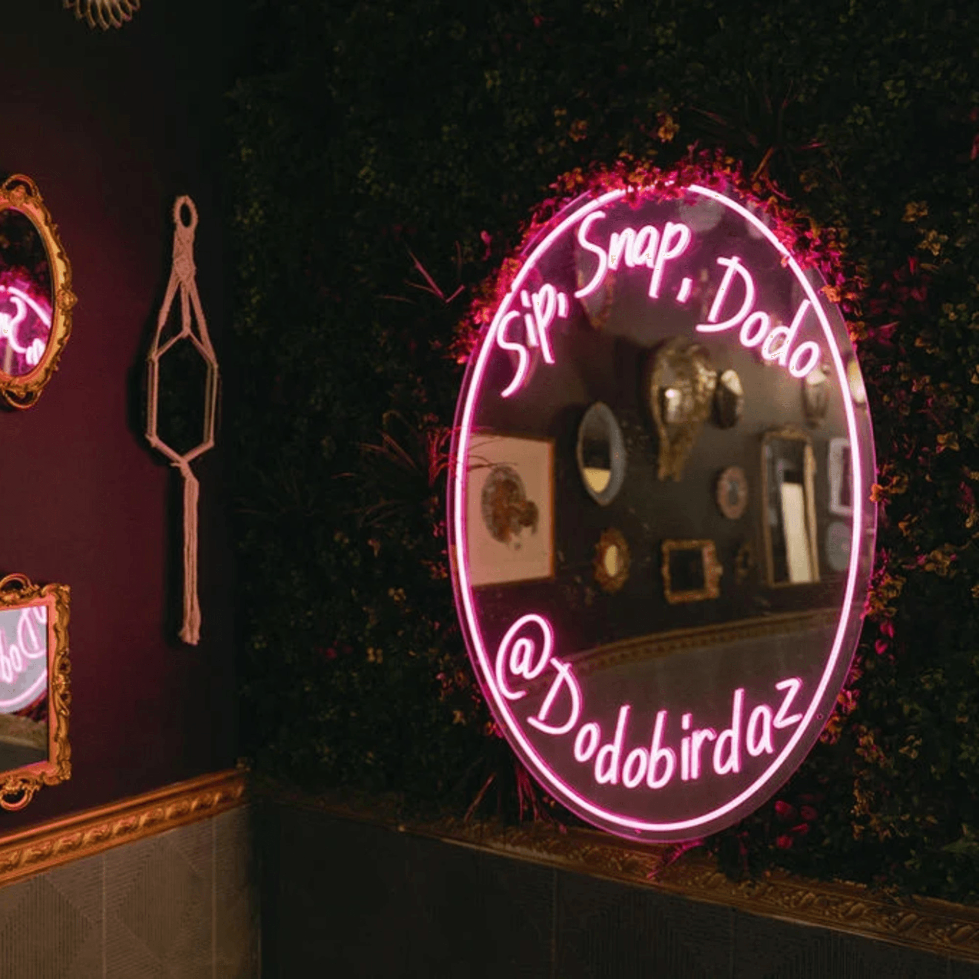 Dodo Bird Kitchen and Cocktails gallery image #2