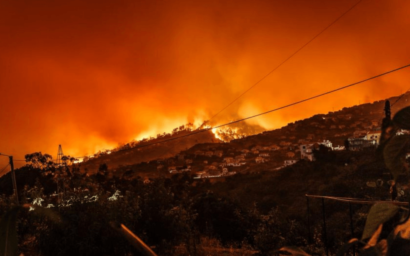 L.A. Wildfires Relief Fund