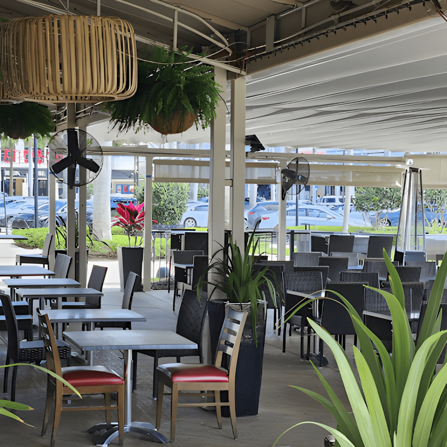 Dine In - A Perfect Spot for Everyone