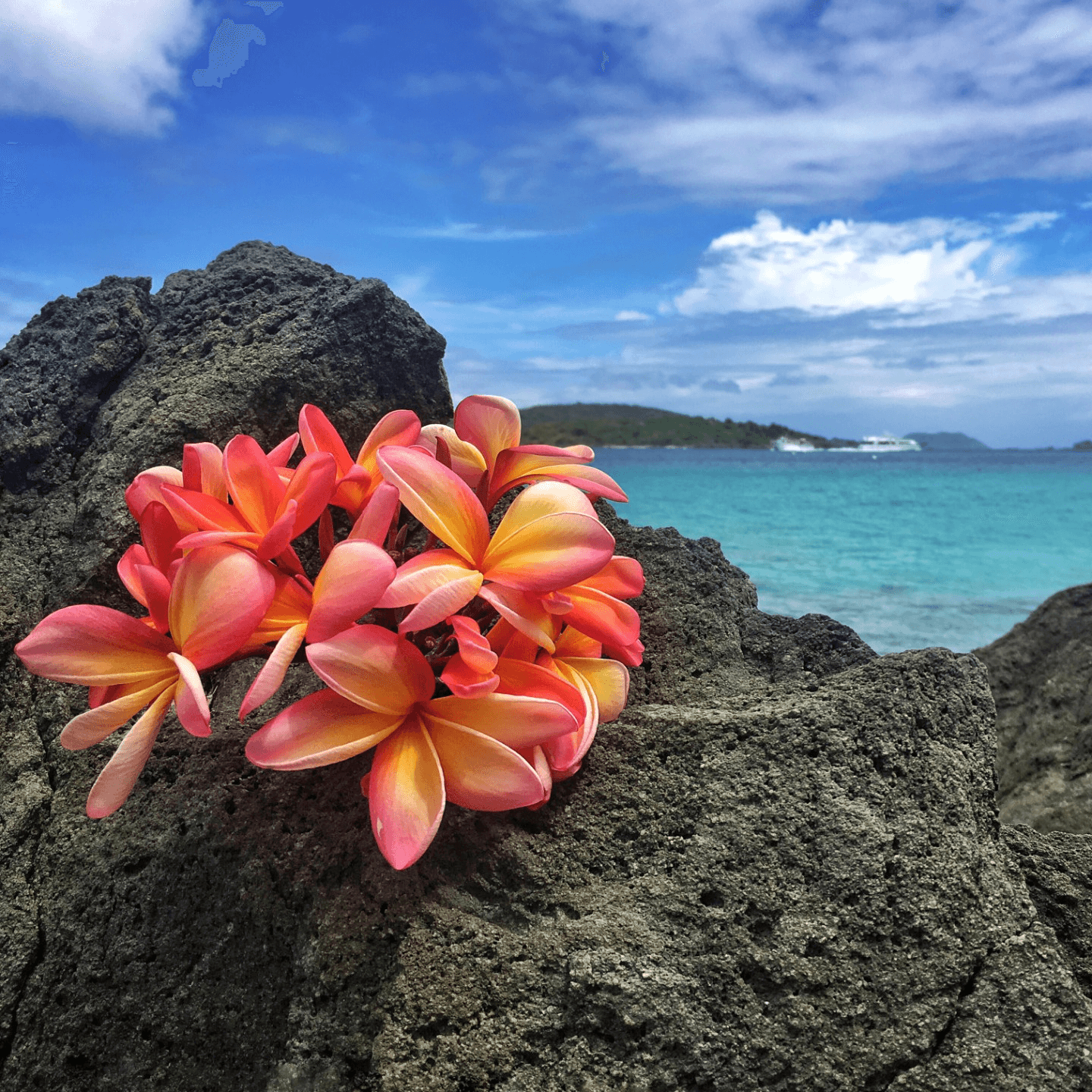 Flavors Straight from the Islands