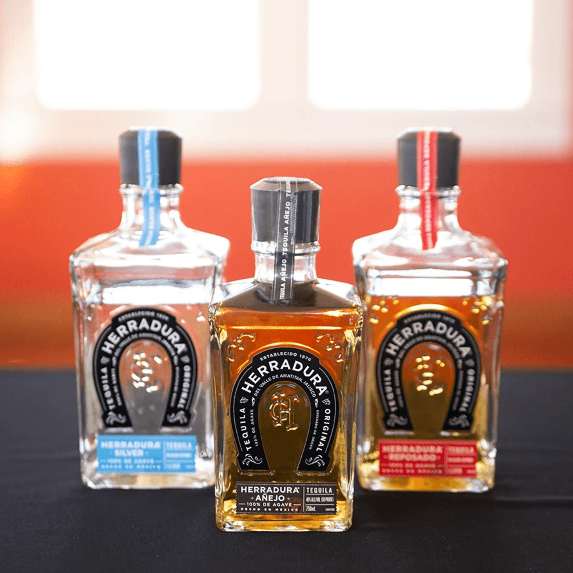 El Gato Negro gallery image #4