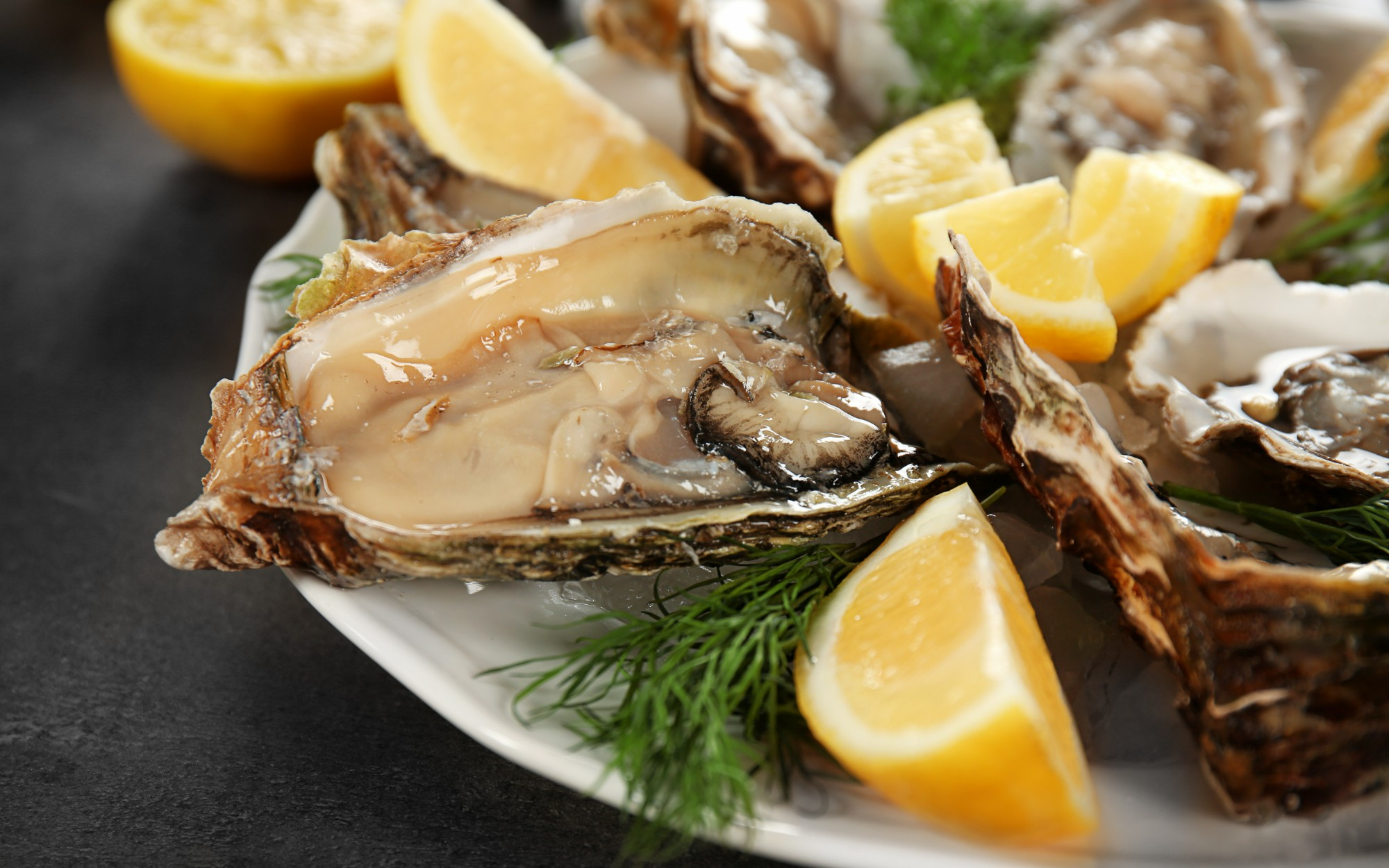 Best Seafood in Orange City, FL | Nice N Easy Oyster Bar & Grille ...